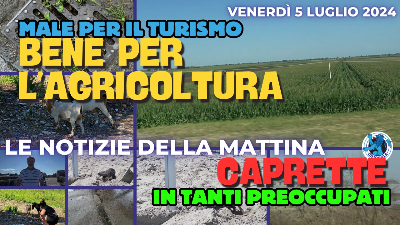 COSA C'E' DI NUOVO, Le notizie di oggi 5 luglio 2024, venerdi